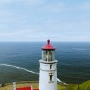 시애틀공원 이미지