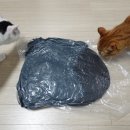 요거멍냥