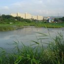 신들의풍차 이미지