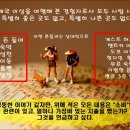 현명전력 이미지