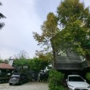 꿈길속에펜션 이미지