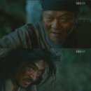 뿌리깊은나무 이미지