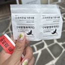 화조원 | 제주 화조원 카피바라 후기 애월 가볼만한곳 추천