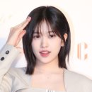 알지헤어