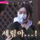 설레인 이미지