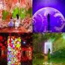 고성농요 정기공연 | 제주 애월 실내 가볼만한곳 아이바가든 포함 코스