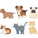 24시 강서 젠틀리동물의료센터 이미지