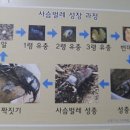 에이스농장 이미지