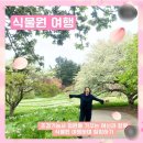 숲과 친해지는 인천대공원 수목원 탐방 | 식물원 여행 3기 푸른 수목원 함께 하실 분 모이세요