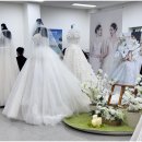 써치플랜