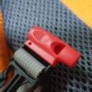 뉴 비너스 이미지