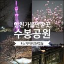 수봉놀이동산 | 인천 수봉공원 스카이워크 야경 벚꽃 산책 코스 주차 꿀팁까지