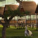 멍디브 | 광주 애견카페 애견운동장 멍디브 : 우리 강아지들이랑 수십번 간 내돈내산 후기!