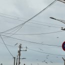 광복호 네이버블로그
