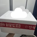 말랑콕 | 강릉 중앙시장 맛집 말랑곳간 강릉 초코 카스테라 인절미 후기