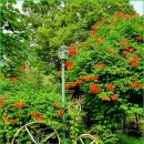 청구어린이공원 이미지