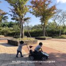 마글램핑장 이미지