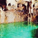 궁전라벤더 이미지