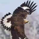 바다속펜션 이미지