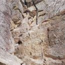 늑대와 여우 이미지