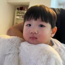 (주)청우환경 | 2023년 마무리 이야기(연말 파티, 자부데이, 박민호 간장게장, 해운대 청우, 아난티 힐튼 후기)
