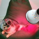 성림플라스틱 이미지