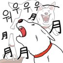 용성조명
