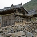중산초등학교 Daum카페