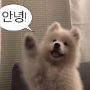 큐이디 아카데미 이미지