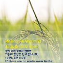 추무로