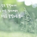 시와음악 그리고 힐링... " 물 속 반딧불이 정원 " 이미지