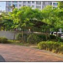 한신더휴영천 퍼스트아파트 이미지