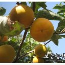 보금농장 이미지