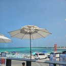 신제주동물병원 | 제주 한달살기 준비법 (비용, 체크리스트, 숙소)