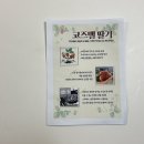코즈벨