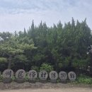 제주민속촌 | 제주 민족촌. 제주도 가 볼 만한 곳. 제주민속촌 입장료. 제주민속촌 리얼후기.