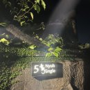 (주)쿠폰트리투어 | 발리 우붓 가성비 좋았던 에어비앤비, ATV, 아융강 래프팅, 선라이즈 바뚜르 지프투어 후기
