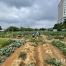 기흥2농장 이미지