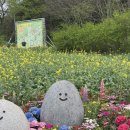 화순장 | 화순으로 지금 당장 가야되는 이유/ 화순 봄꽃축제