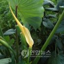 행운농장 이미지