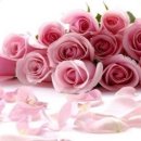 다르게 천천히 이미지