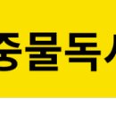글을품은학당논술교습소 | <논제>수난이대의 만도와 홍길동전의 홍길동의 현실 대응 방식의 차이점