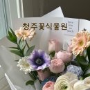 모충초교 | 청주꽃식물원 당일 방문 예약 입학식 꽃다발 선물 종류 색감 추천 모충동 모충초 사직초 꽃집 보관법