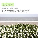 신안군관광협의회임자면지회 이미지