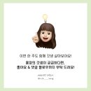 홍양(주) 네이버블로그