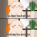 두잇핏PT | PT보다 편한 30분 관리 , 셀포랩 밸런스 솔직 후기