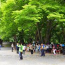 외산 무량사 부도군 이미지