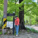 횡성 서초휴양소 이미지