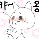 또와포차 - 증평군 중앙로10길 10 | 또와포차