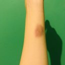 호주 워홀 : 요리가 늘 수 밖에 없는 호주생활 [4월마지막주-5월의 시작]
